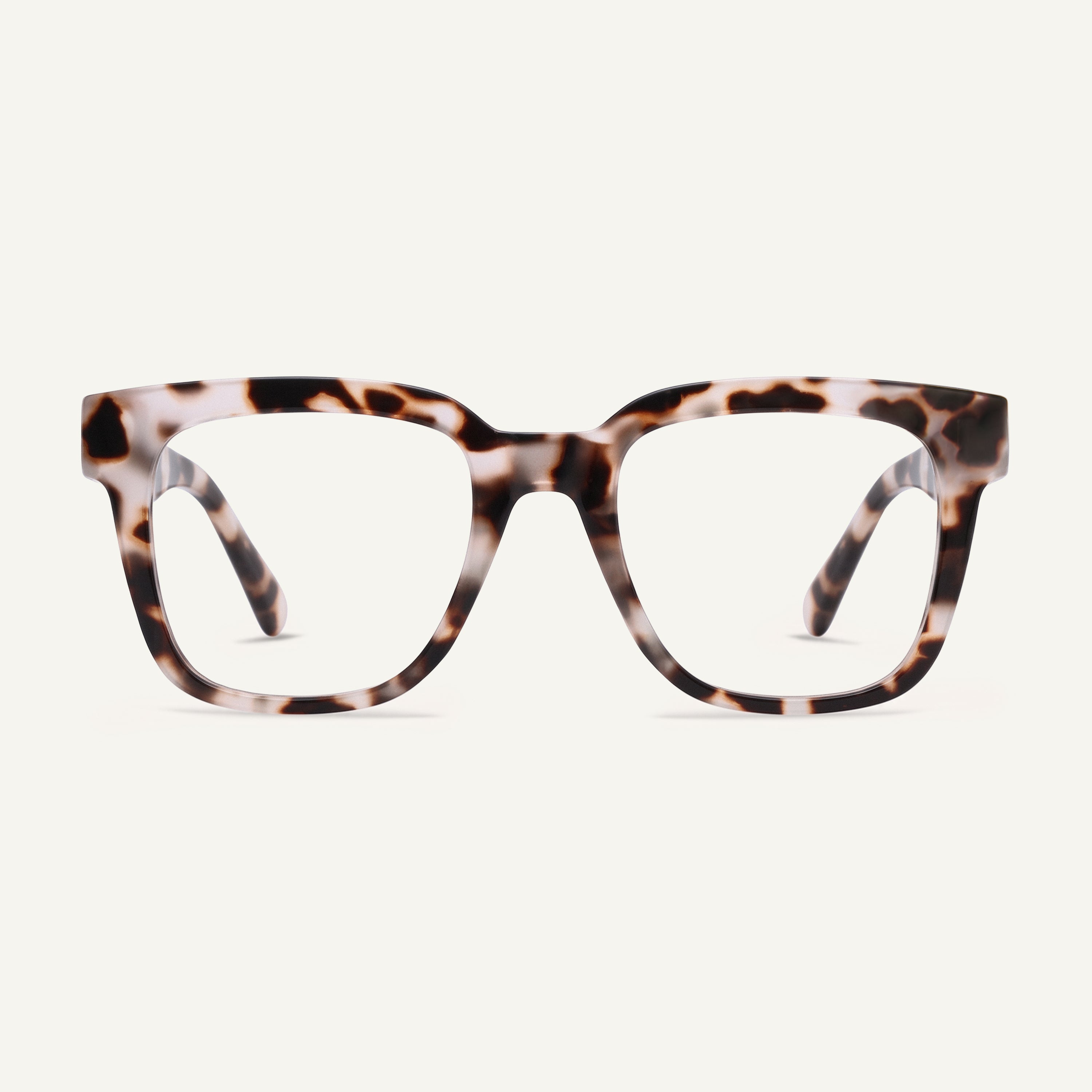 Amalfi Tortoise