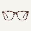 Amalfi Tortoise